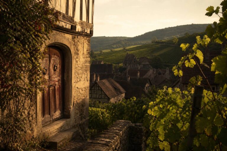Mutzig en Alsace : que voir dans ce village viticole