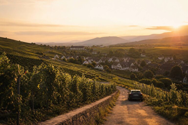 Week-end dégustation vin en Alsace : notre itinéraire